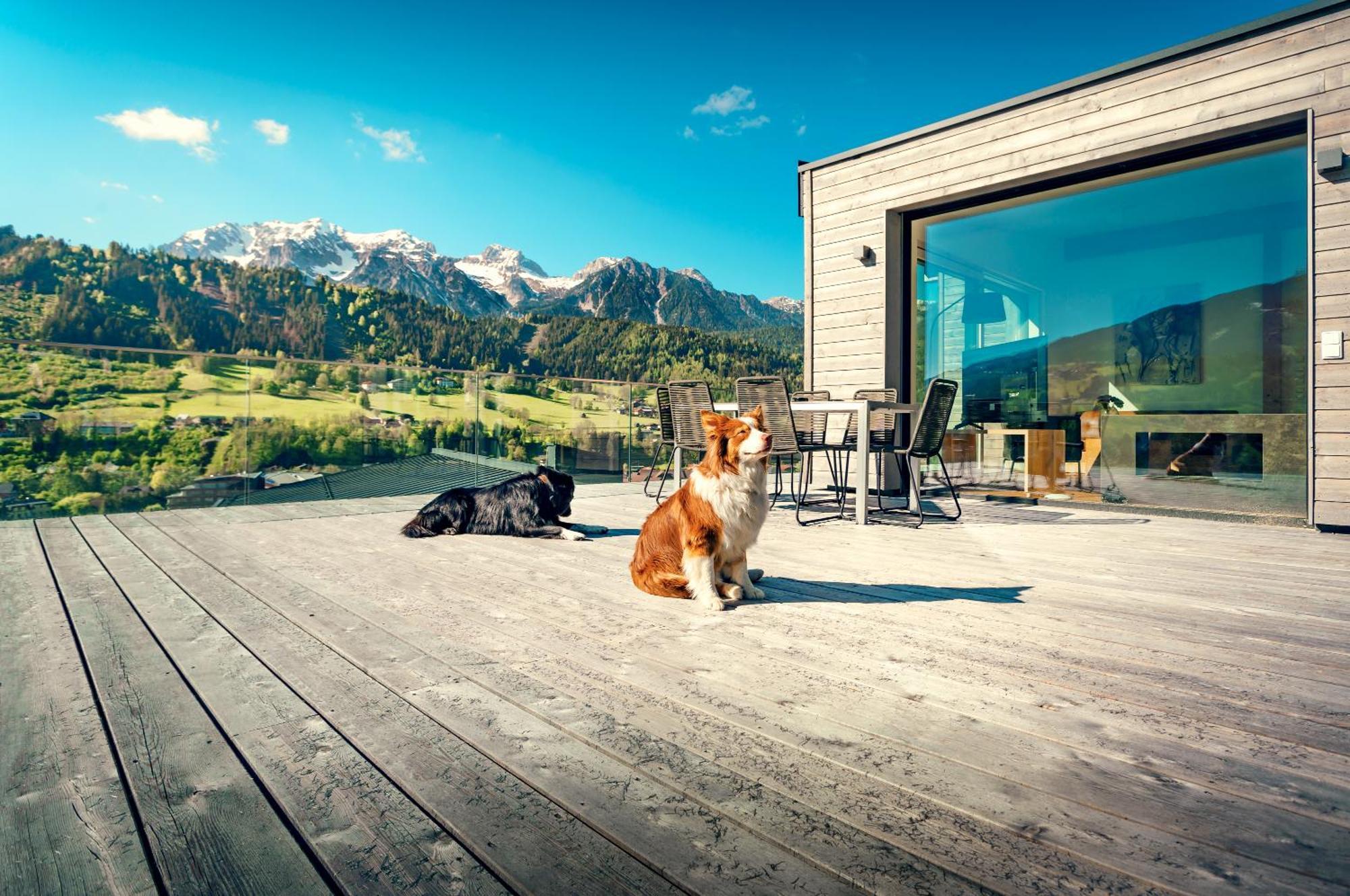 Chalets Coburg Шладминг Номер фото